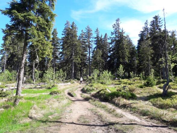 Flachstück zum Mittagsplatzl