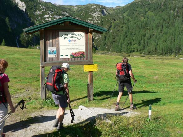 Von der Ursprungalm über den Almboden Richtung Westen zur Oberhütte