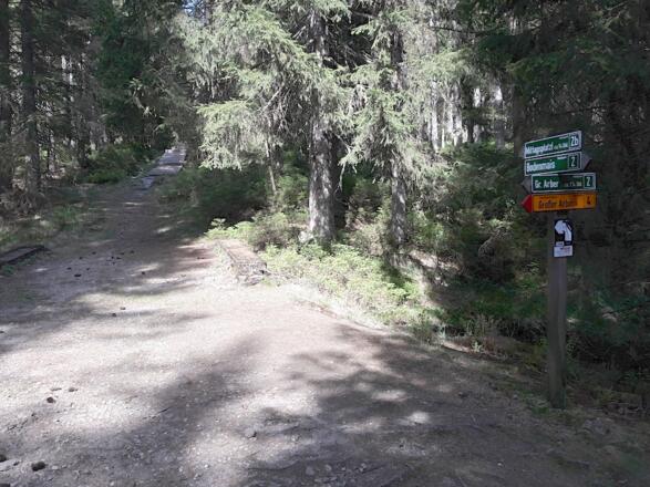 Weggabelung - wir gehen rechts über die Auerhahnstraße zum Mittagsplatzl