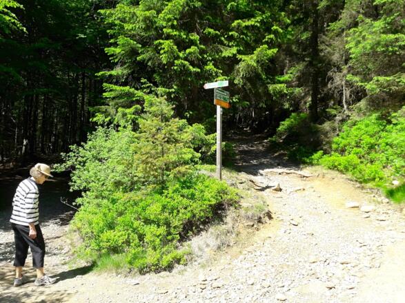 Hier wandern wir links auf den &quot;steinigen&quot; Weg