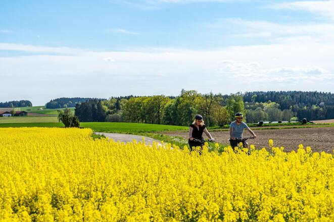 Auf dem Bockerlbahn Radweg bei Kleinmünchen