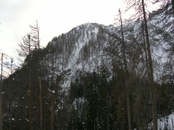 Mooslahnerkopf - wo soll da eine Skitour hinaufgehen?