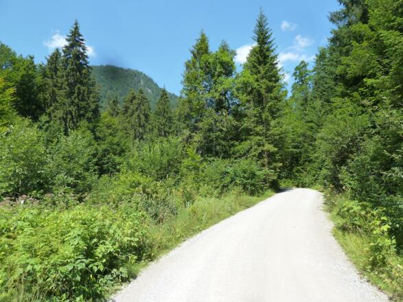 Fahrweg zur Schwarzentenn
