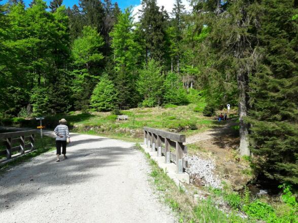 Querung der unteren Arberhochstraße