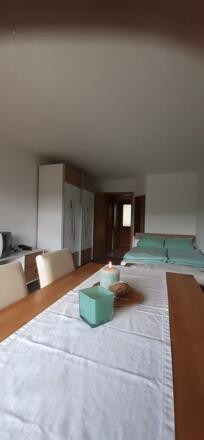 app-donaublick1