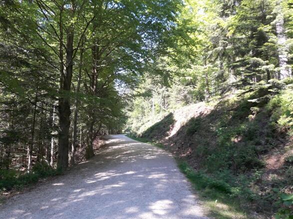 Wanderweg Nr. 2 nach dem Parkplatz