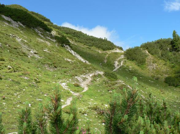 Der Weg hinauf zum Brotrinnl