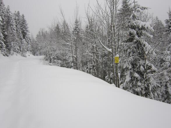 Schneeschuh- bzw. Skitourenrunde - Rossmoos Runde in Bad Goisern am Hallstättersee