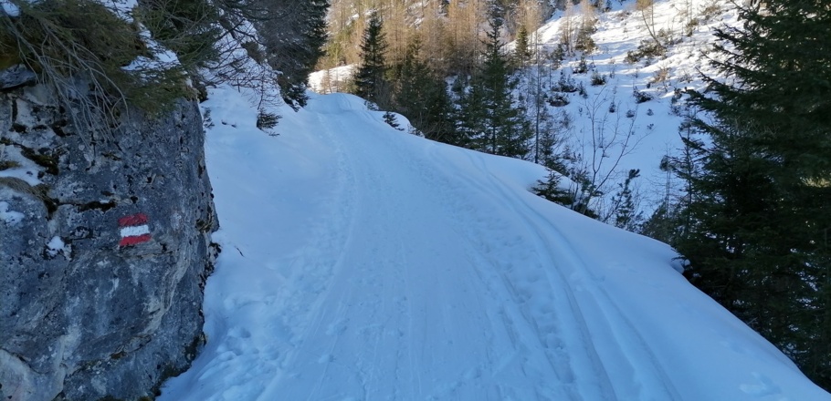 Immer weiter ins Tal hinein