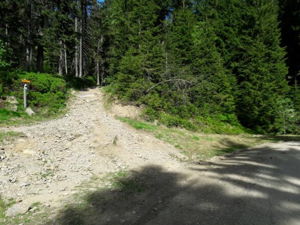 Weiterweg nach der oberen Arberhochstraße