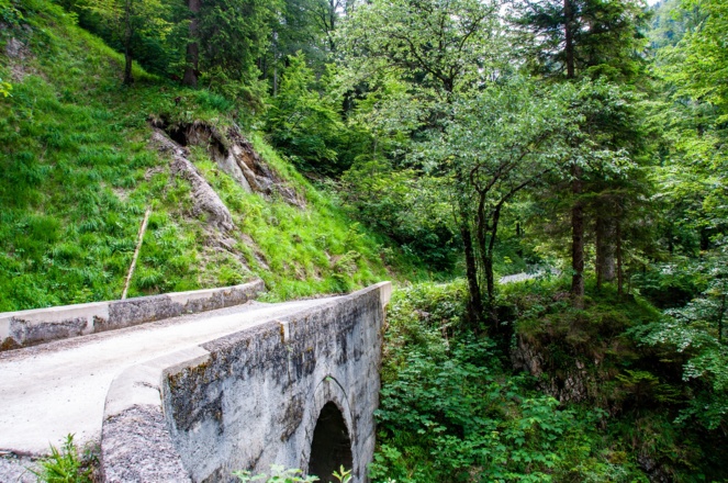 Weg zur Bayralm