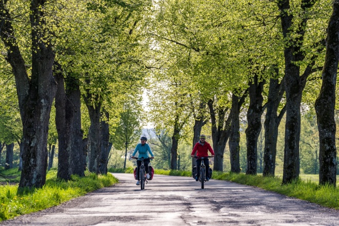 An der  Alten Allee bei Pfarrkirchen