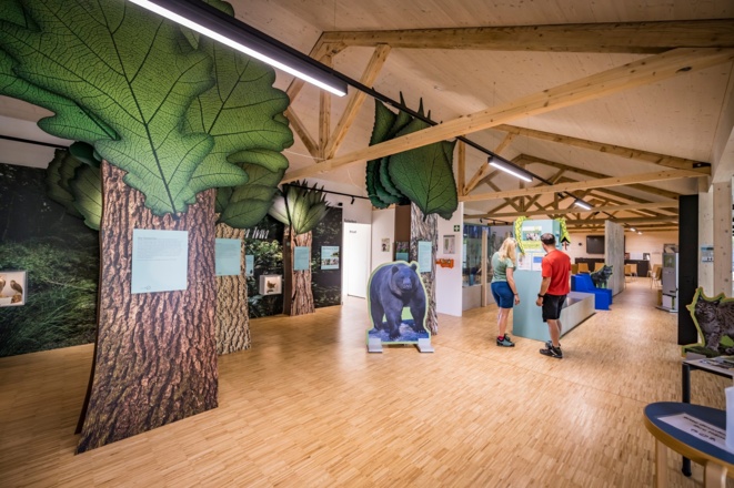 Im Naturium am Unteren Inn