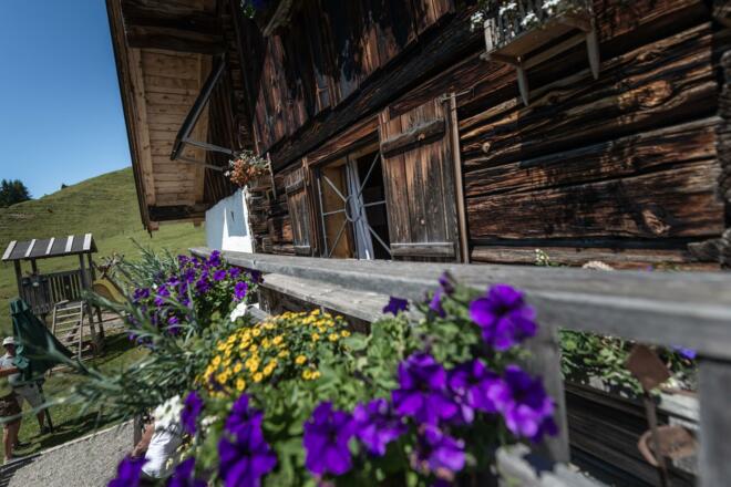 Mußbachalm-Blumendeko und Naturspielplatz
