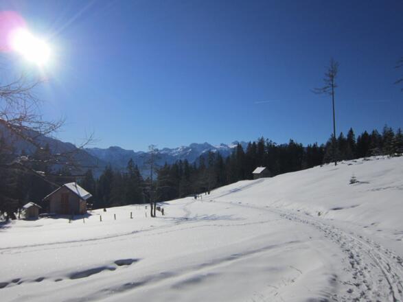 Schneeschuh- bzw. Skitour - Hütteneck in Bad Goisern am Hallstättersee