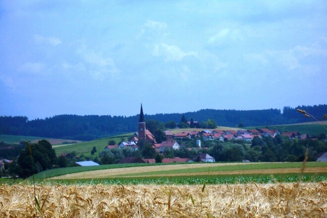 Blick auf Hirschhorn