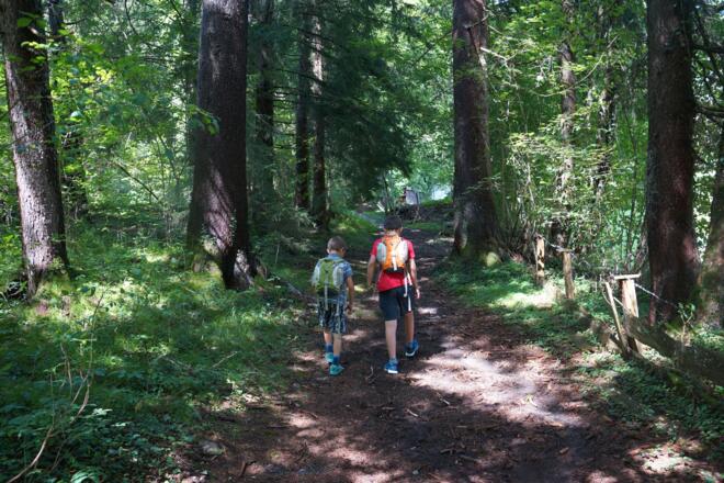 Baumpfad in Gnadenwald