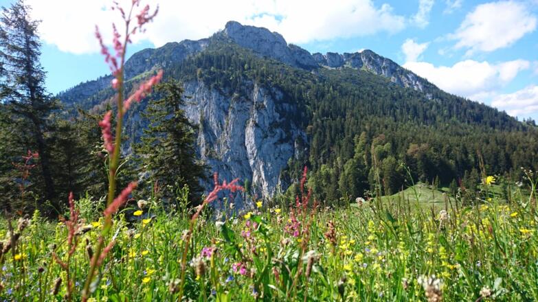 unser Hausberg, der Breitenstein