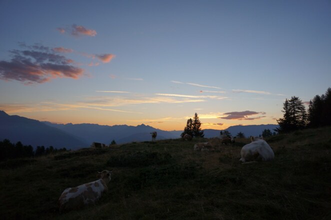 Wir starten früh bei der Dolomitenhütte und steigen über den Ellerweg auf...