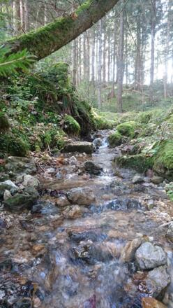 auch an trüben Herbsttage kann man herrlich wandern und entspannen