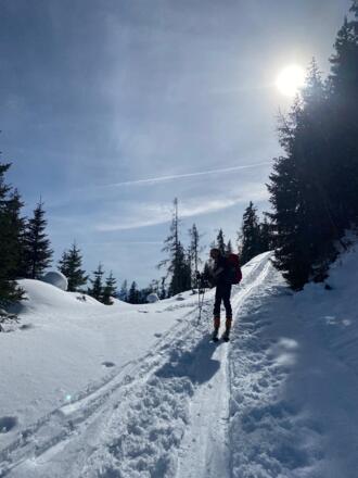 Aufstieg im Wald