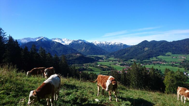 erster Schnee im September
