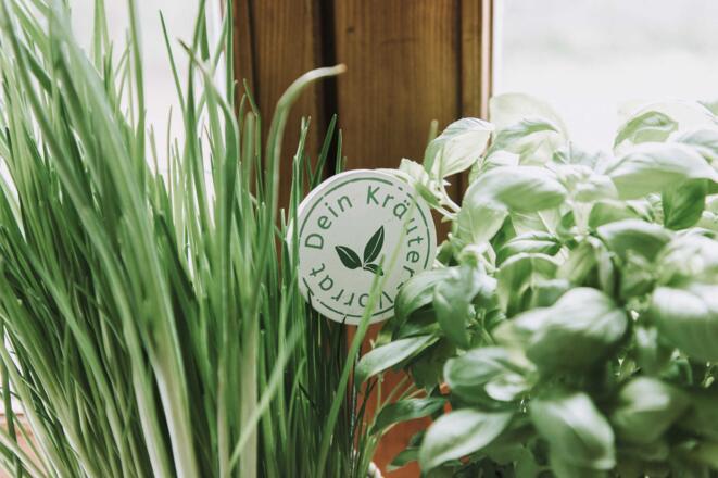 Kräuter in der Küche