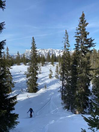 Tennengebirge im Hintergrund