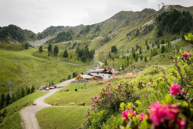 Balbach Sommer