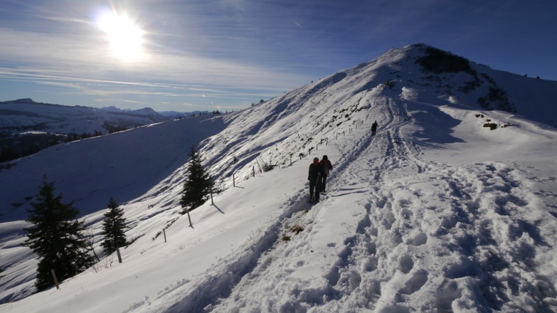Riedberger Horn