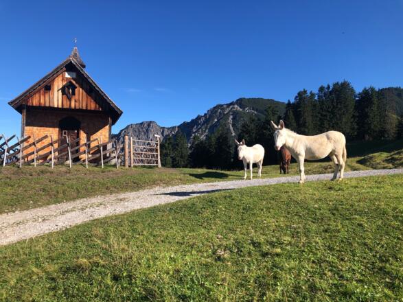 kurz vor dem Rellseck