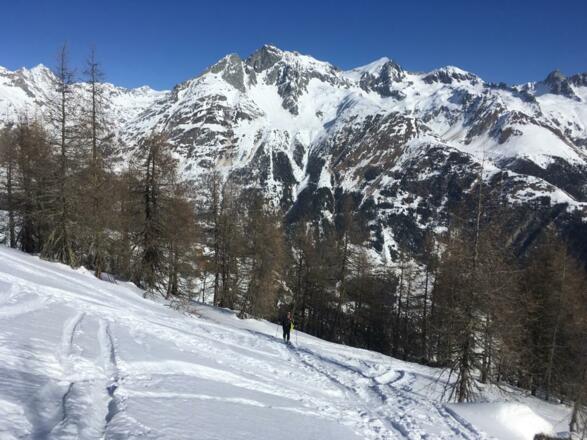 zwischen Marcher Alm und Bläß