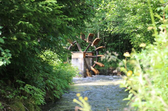 Alpengarten Pfronten