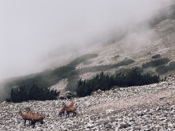 Processed with VSCO with c4 preset