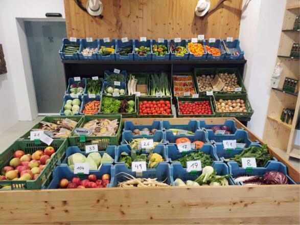 Mikis Vitalbox - Gemüse vom Kirchgatterer