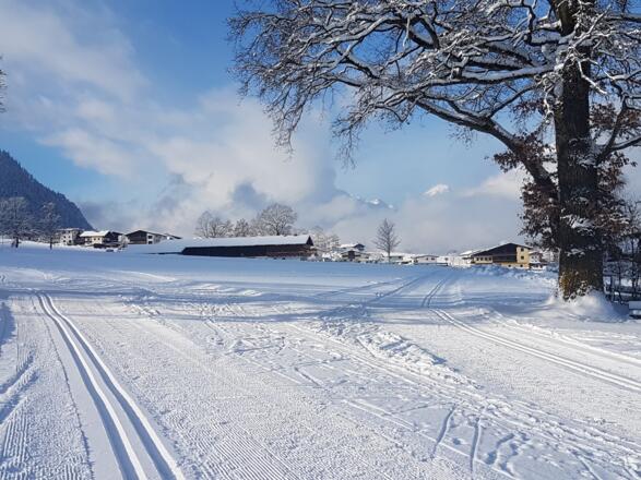 Loipe Reith im Alpbachtal Langlaufen