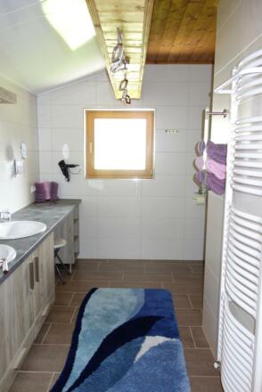 Ferienwohnung 2, Badezimmer mit Dusche und WC