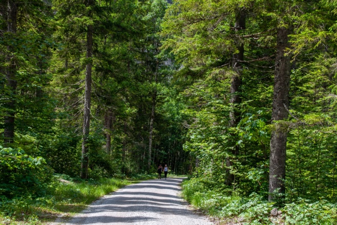 Weg entlang der Weißach
