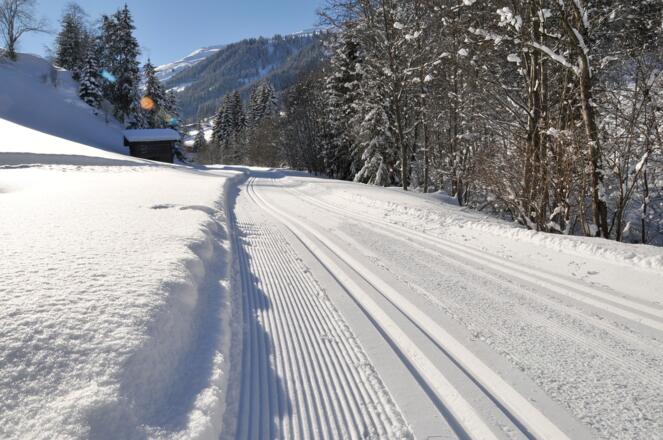 Langlaufen Loipe Luegergraben Inneralpbach