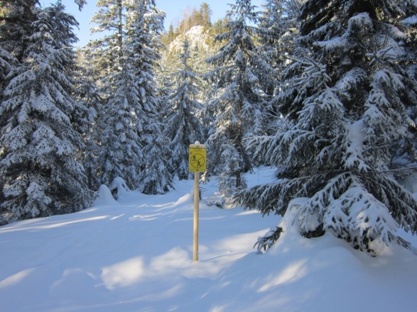 Schneeschuh- bzw. Skitourenrunde - Kleine Rosenkogelrunde in Bad Goisern am Hallstättersee