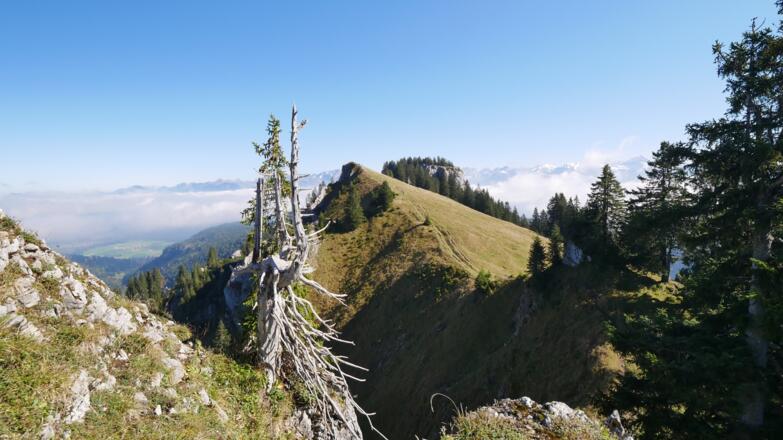 Blick über den Beslergrat