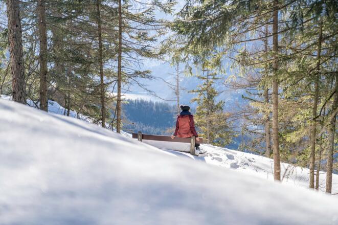 Winterwandern am Brandkopf