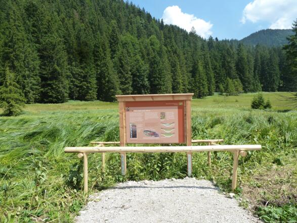 Hochmoor Schwarzentenn