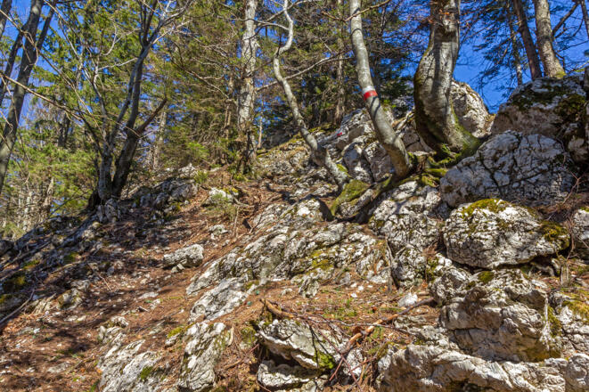 Aufstieg auf den Hochsalm