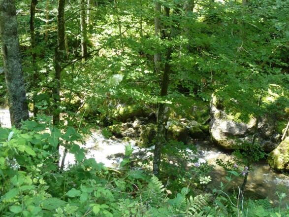 Bodenerlebnispfad Schwarzenbachtal