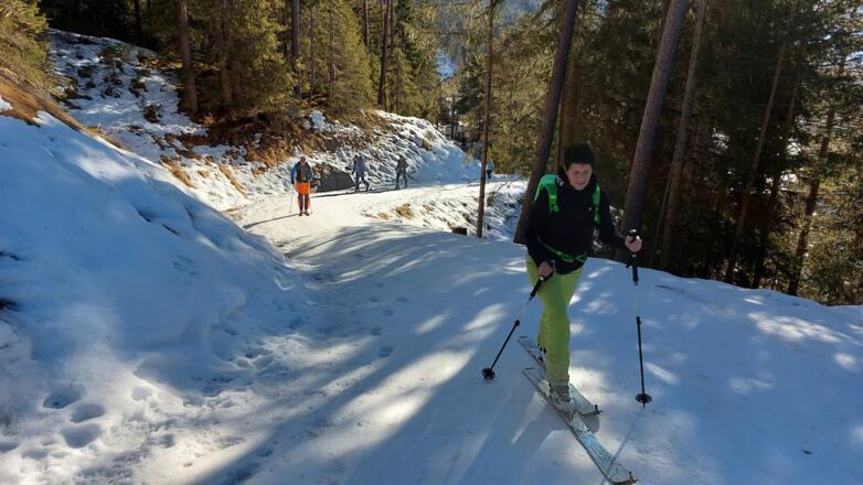 Eine Forststraße ermöglicht ...