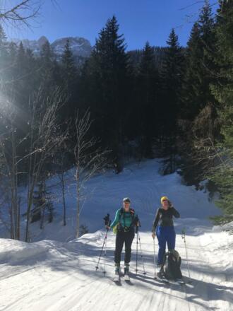Forstweg bis zur Marcher Alm