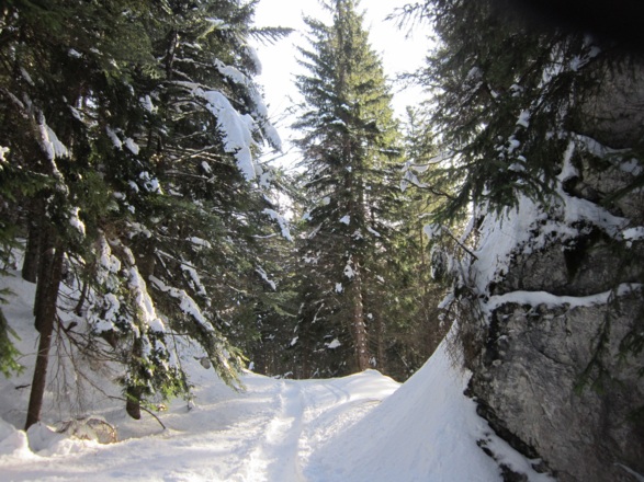 Schneeschuh- bzw. Skitour - Hütteneck in Bad Goisern am Hallstättersee