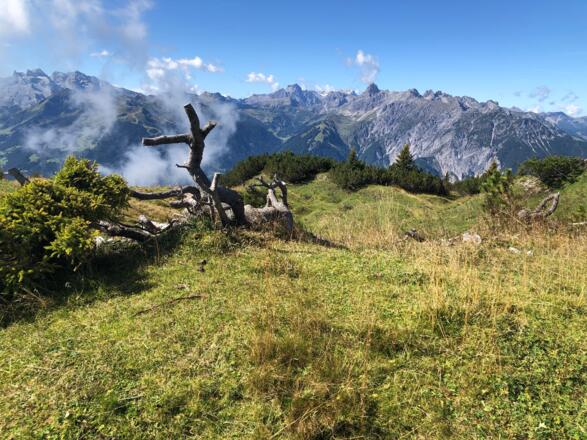 Blick vom Wannakopf ins Rätikon