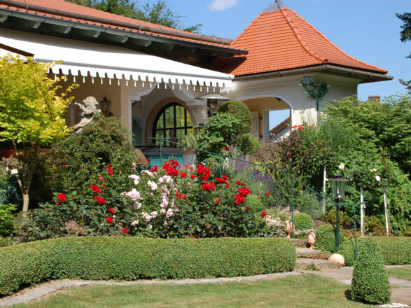 Rosenzauber im Sommer